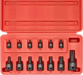 10282B NEIKO Security Torx Socket Bit Set Moly