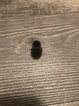 3/8 Drive 5/16 Fdhb100 12 Point Snap On Socket Black. Fixed Price $15.00.