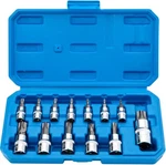 Torx Bit Socket Set 13pcs 3/8" Dr. T8 - T70 E Star Premium S2 Alloy One Size. Fixed Price $24.29.