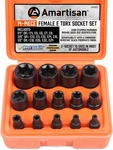 Amartisan 14 Pc Female E-torx Star Socket Set/rail, 1/4" 3/8" E4 - E24, Black. Fixed Price $21.99.