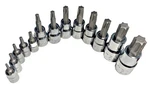 Craftsman Torx Sockets(pick A Size). Fixed Price $10.00.