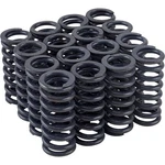 Speedway Motors 1932-1953 Flathead Ford V8 Valve Springs Set, 85lb 2.00". Fixed Price $148.99.