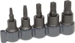Lisle Mortorq Super Socket Set, 5pc.. Fixed Price $31.99.