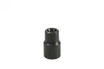 Lisle 26830 E12 Torx Socket. Fixed Price $9.98.