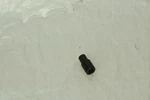 Matco Tools A7xr E7 Torx Impact Socket - 1/4" Drive. Fixed Price $34.00.