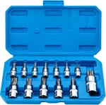 Torx Bit Socket Set 13pcs 3/8" Dr. T8 - T70 E Star Premium S2 Alloy One Size. Fixed Price $26.99.